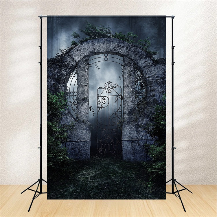 Fotografia Sfondo Di Halloween Spooky Iron Gate Vines Sfondo BRP10-223