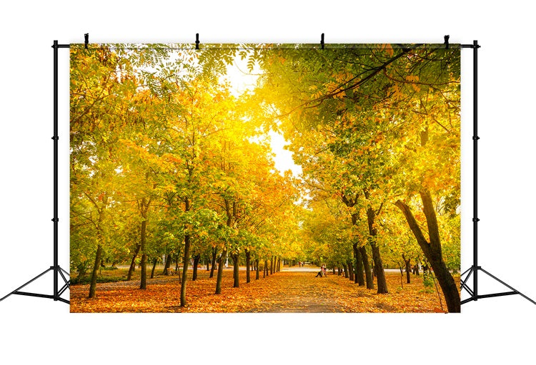 Sfondo Di Foglie Autunnali Sfondo Dorato Di Alberi Autunnali BRP10-234