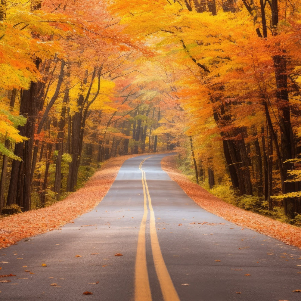 Sfondo Autunnale Scenic Fall Forest Driveway Road Fondale BRP10-236