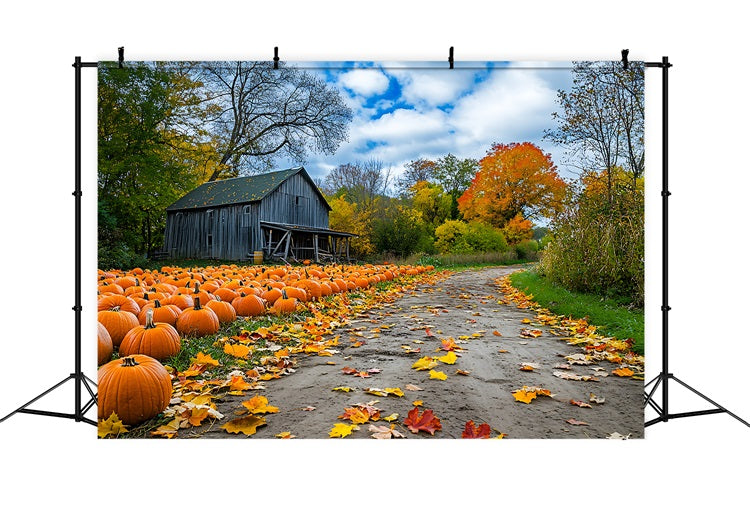 Sfondo Autunnale Rustico Fattoria Zucca Patch Sfondo BRP10-250