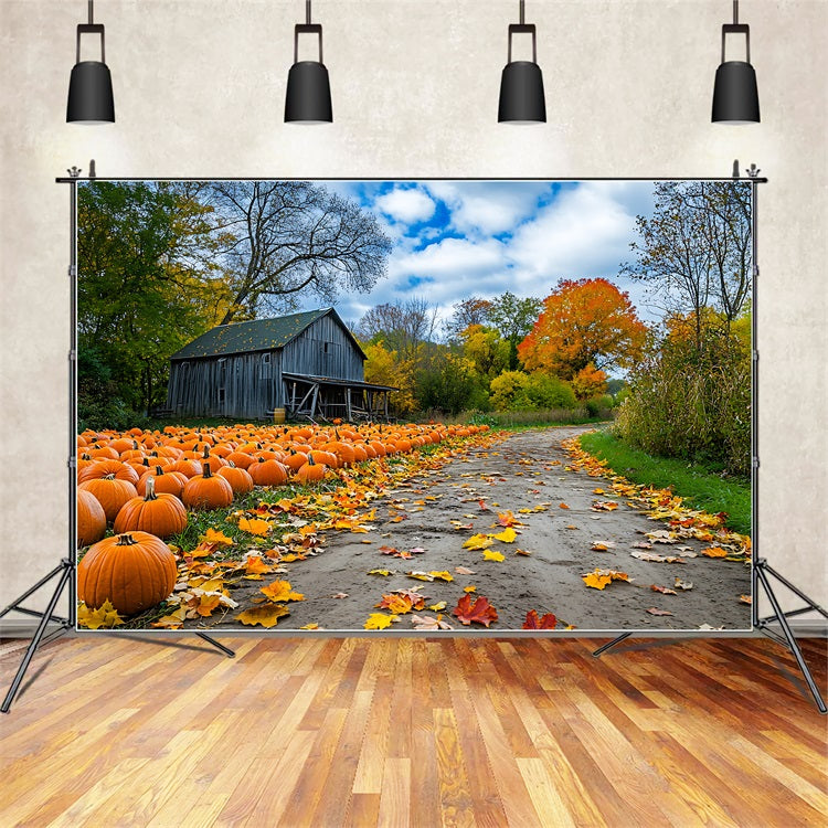 Sfondo Autunnale Rustico Fattoria Zucca Patch Sfondo BRP10-250