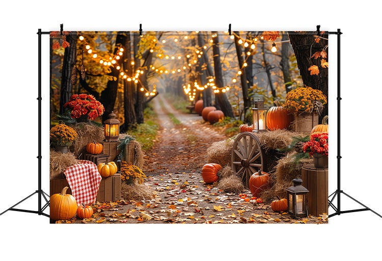 Sfondo Fotografico Autunnale Sfondo Di Luci Del Sentiero Con Zucche In Pagliaio BRP10-257