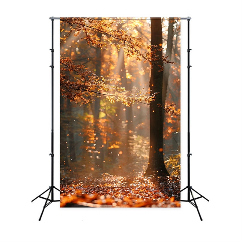 Fondali Fotografici Autunnali Foresta Scintillante Di Raggi Di Sole Sullo Sfondo BRP10-263