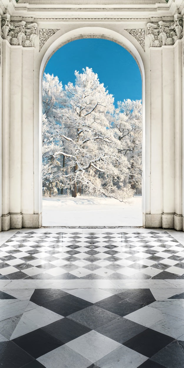 Sfondo Della Foresta Innevata Del Grand Arch Sweep BRP10-536