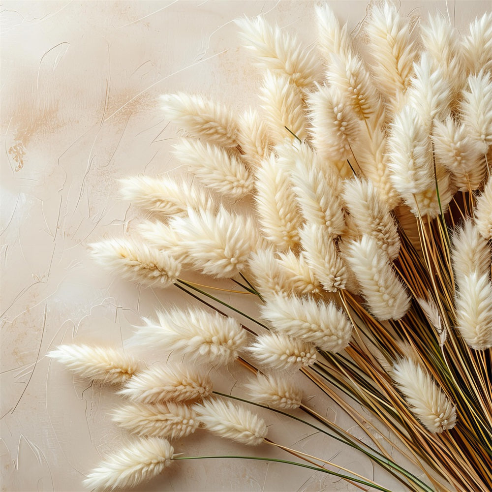 Sfondo Con Accenti Di Pampa Stile Boho Minimalista BRP10-71