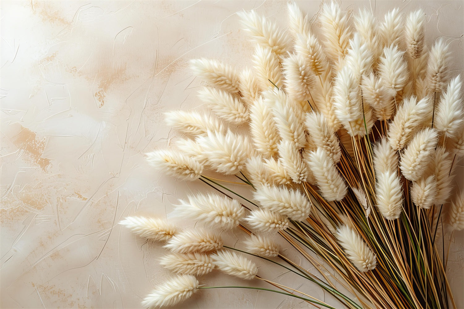 Sfondo Con Accenti Di Pampa Stile Boho Minimalista BRP10-71