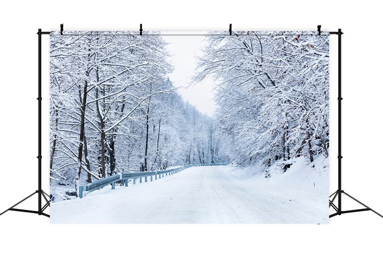Sfondo Fotografico Invernale Strada Che Conduce Alla Foresta Gelida BRP11-10