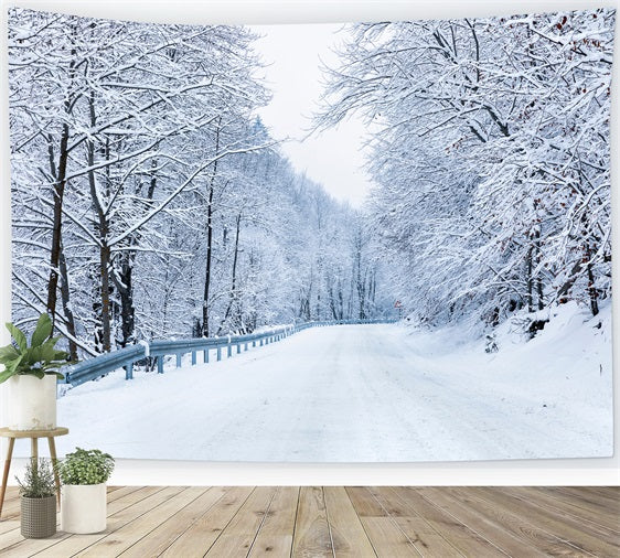 Sfondo Fotografico Invernale Strada Che Conduce Alla Foresta Gelida BRP11-10