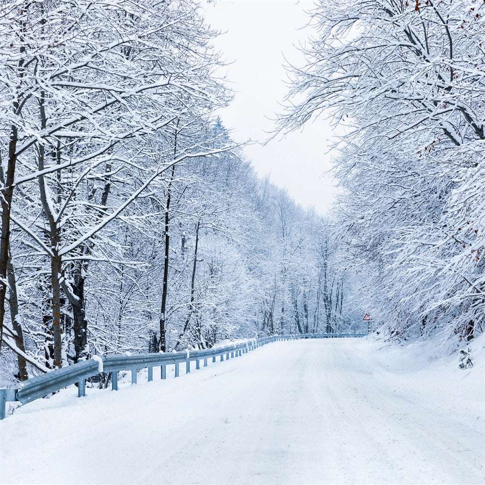 Sfondo Fotografico Invernale Strada Che Conduce Alla Foresta Gelida BRP11-10