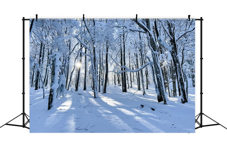 Fondali Invernali In Vendita Bosco Innevato Sfondo Leggero E Delicato BRP11-13