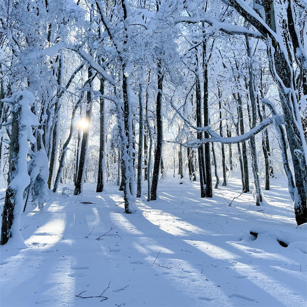 Fondali Invernali In Vendita Bosco Innevato Sfondo Leggero E Delicato BRP11-13