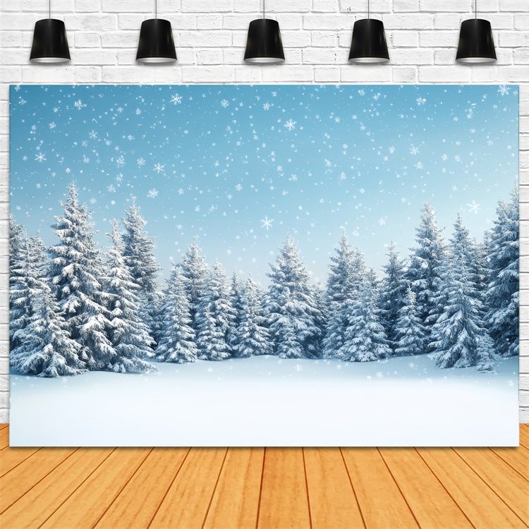 Sfondo Foresta Invernale Tranquillita Alberi Fiocchi Di Neve Sfondo BRP11-17