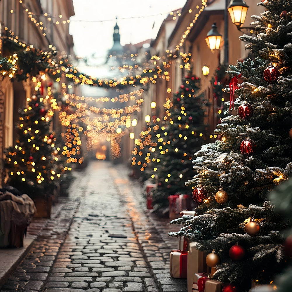 Fondali A Tema Natalizio Luci Che Brillano Sullo Sfondo Del Vicolo Invernale BRP11-182