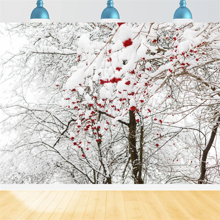 Foto Di Fondali Invernali Sfondo Di Neve Con Bacche Rosse Vivaci BRP11-20