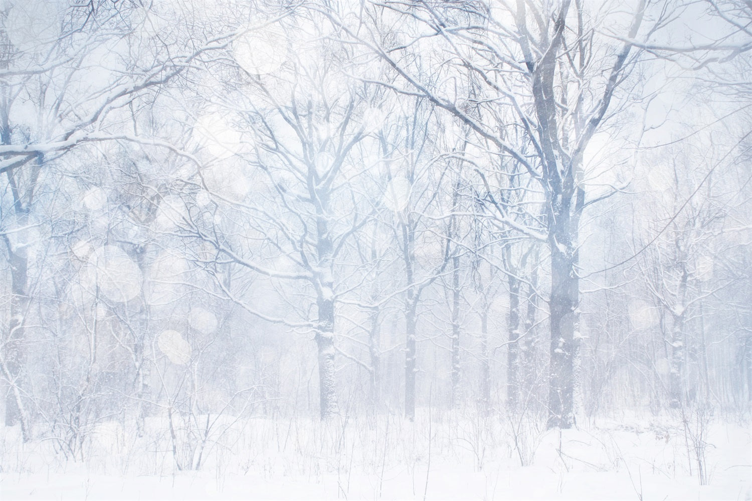 Sfondo Fotografico Invernale Sfondo Boschetto Smerigliato Bianco Argenteo BRP11-21