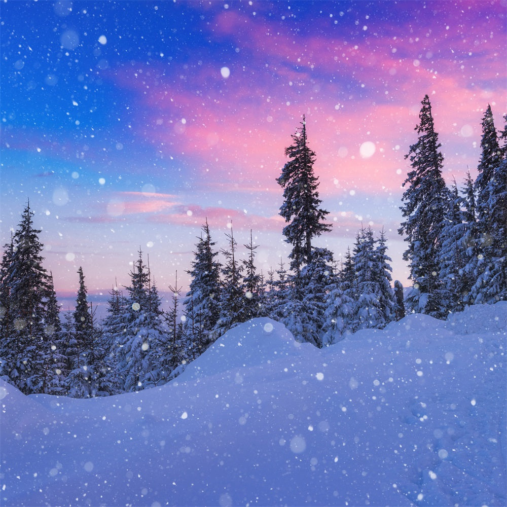 Sfondo Di Neve Invernale Bellissimo Sfondo Di Sempreverdi Glassati Con Cielo BRP11-25