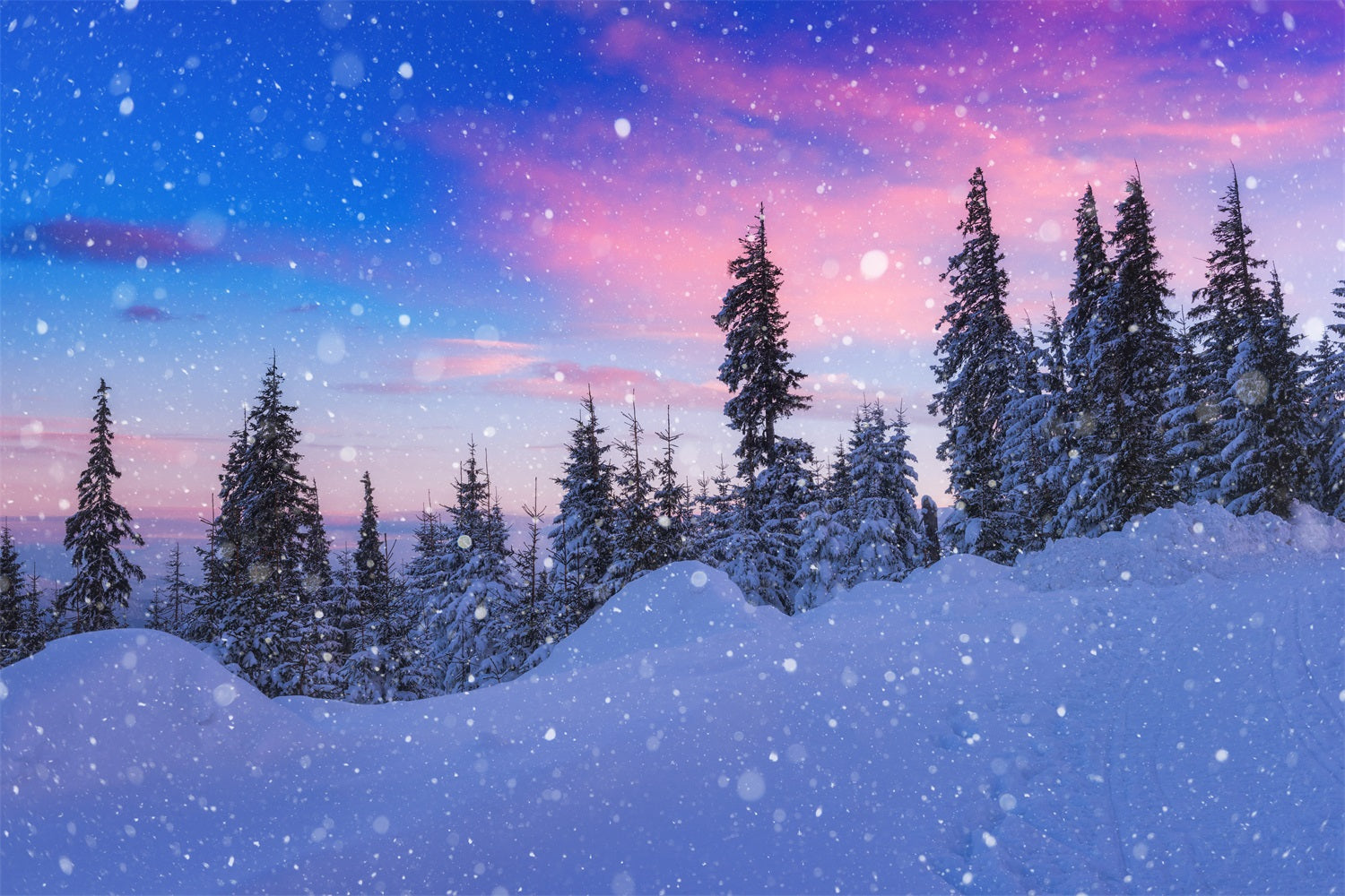 Sfondo Di Neve Invernale Bellissimo Sfondo Di Sempreverdi Glassati Con Cielo BRP11-25