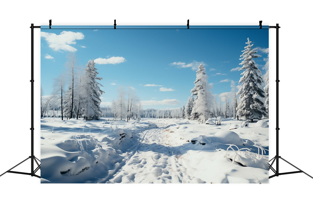 Sfondo Di Boschi Invernali Alberi Smerigliati Sfondo Di Cielo Blu BRP11-266