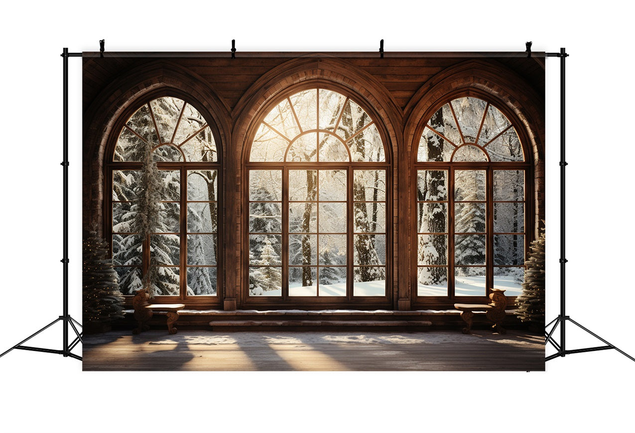 Scene Di Sfondo Invernale Sfondo Di Finestra Ad Arco In Legno Illuminata Dal Sole BRP11-271