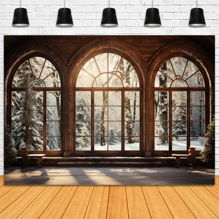 Scene Di Sfondo Invernale Sfondo Di Finestra Ad Arco In Legno Illuminata Dal Sole BRP11-271