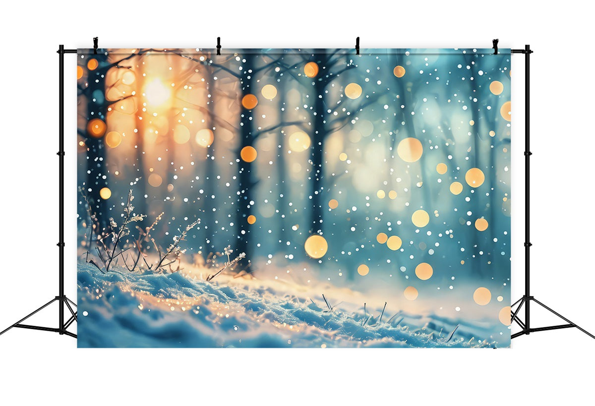 Fondali Invernali Sfondo Sognante Della Foresta Di Nevicate Leggere BRP11-33