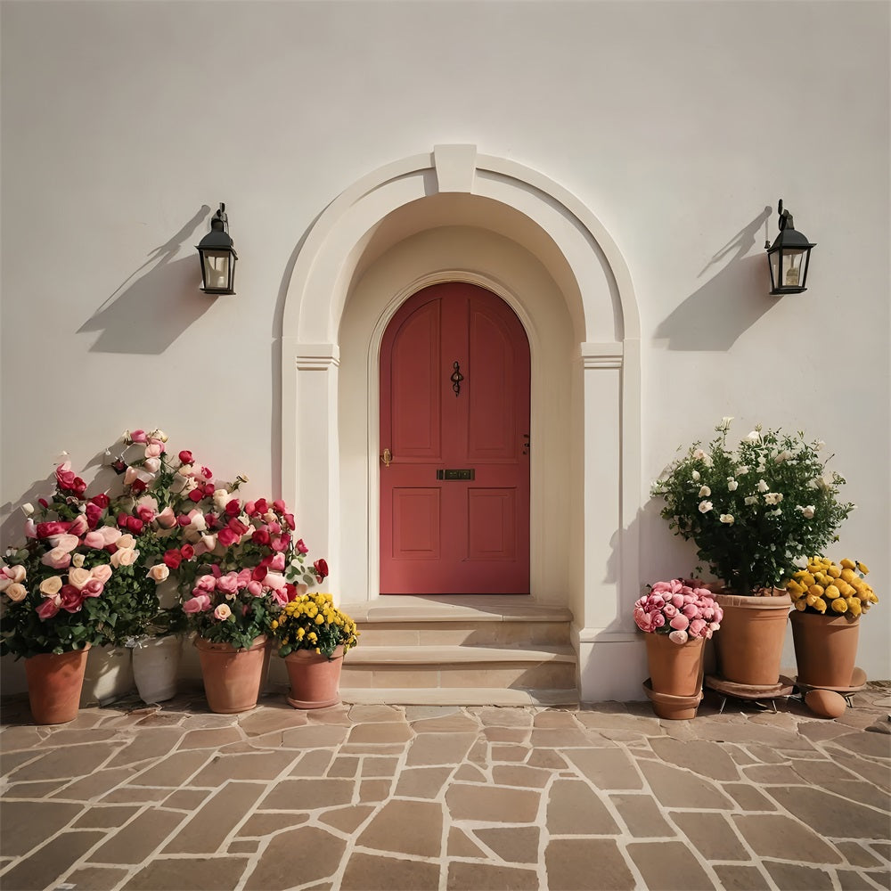 Sfondo Per Foto Di San Valentino Porta Con Fiori In Vaso Vivaci Sullo Sfondo BRP11-394