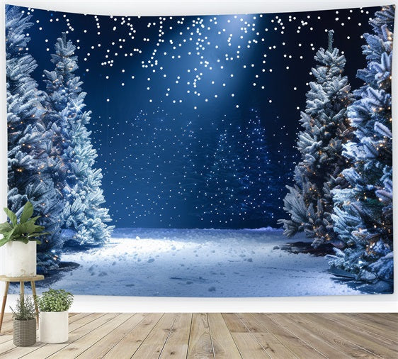 Sfondo Winter Wonderland Sfondo Fotografico Notturno Innevato BRP11-491