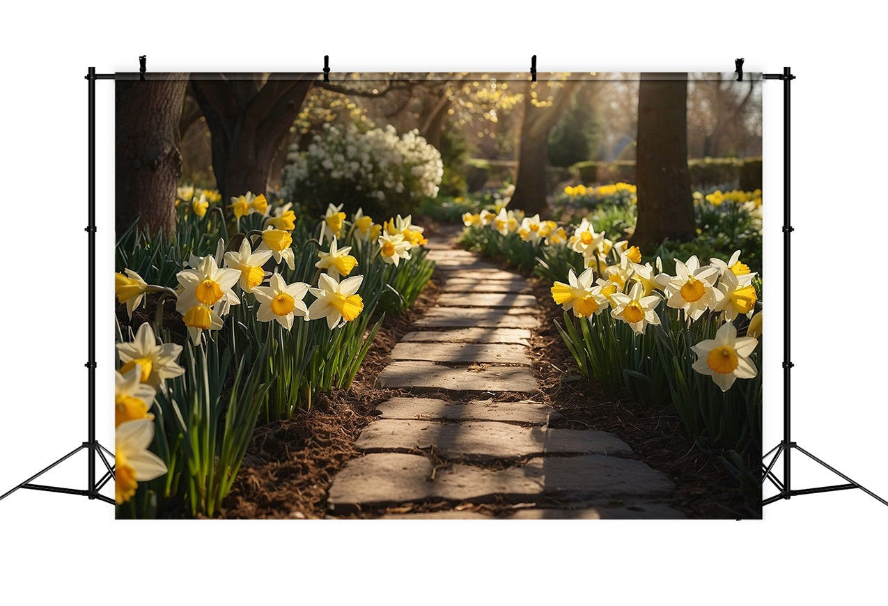Sfondo Fotografico Primaverile Passeggiata In Giardino Sfondo Di Narcisi BRP11-524