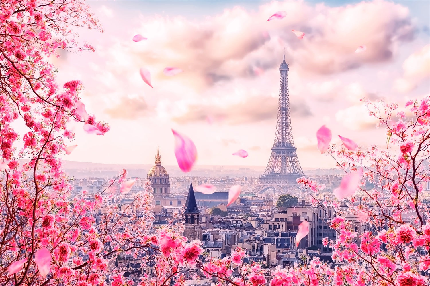 Sfondo A Tema Primaverile Sfondo Di Fiori Di Ciliegio Della Torre Eiffel BRP11-536