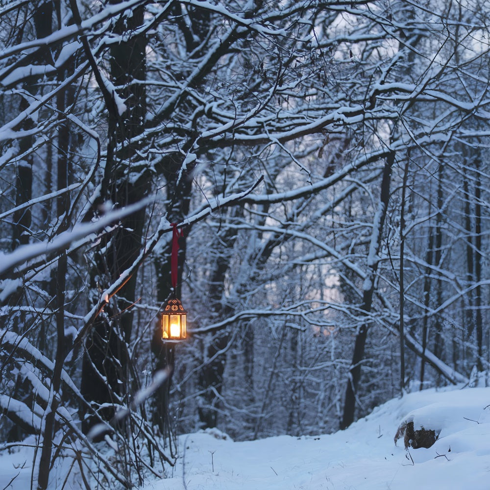 Fondali Invernali Fotografia Lanterna Luminosa Sfondo BRP11-64