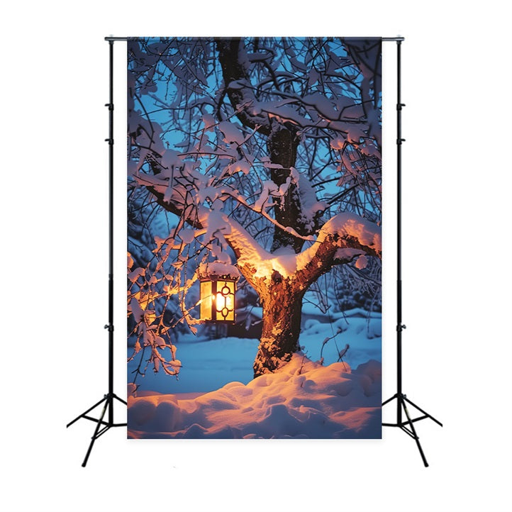 Fondali Invernali Sfondo Di Lanterna Luminosa Con Albero Innevato BRP11-65