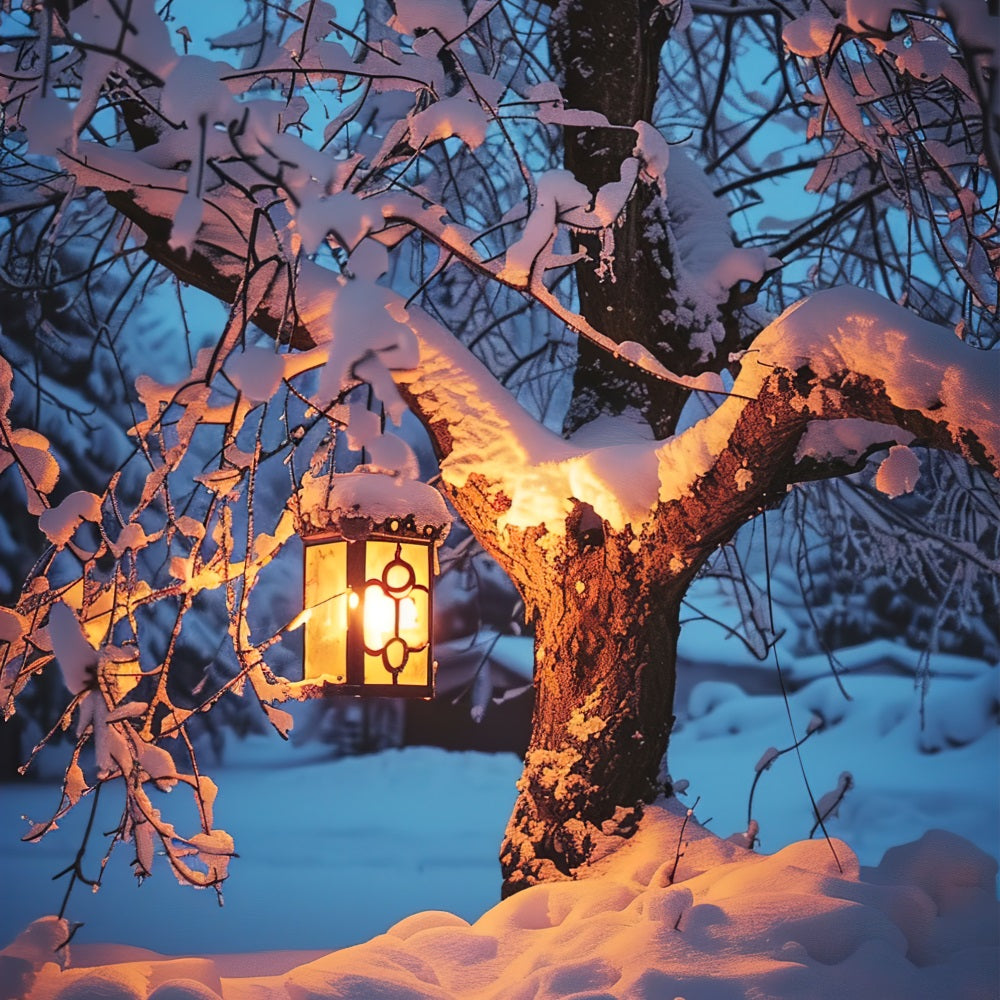 Fondali Invernali Sfondo Di Lanterna Luminosa Con Albero Innevato BRP11-65