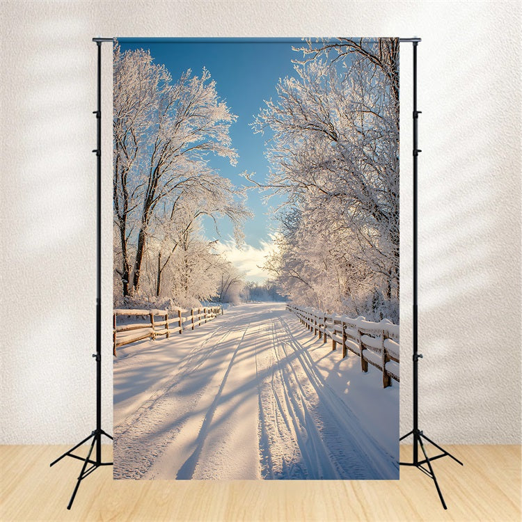 Sfondo Fotografico Invernale Paesaggio Incantato Sfondo Con Sentiero Innevato BRP11-67