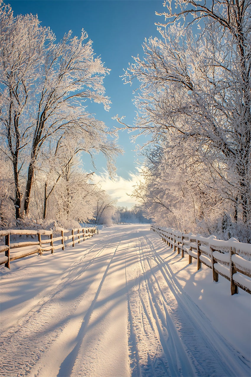 Sfondo Fotografico Invernale Paesaggio Incantato Sfondo Con Sentiero Innevato BRP11-67