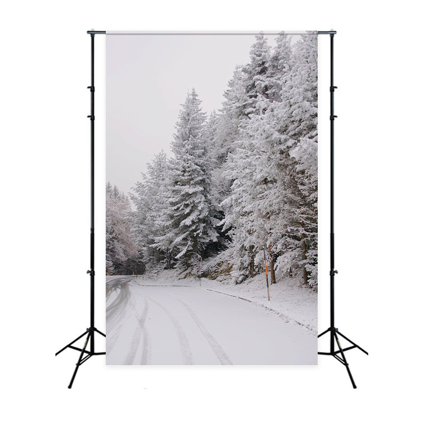 Fondali Winter Wonderland Pathway Pines Innevati Sfondo BRP11-69