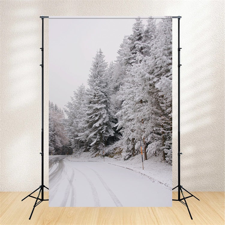Fondali Winter Wonderland Pathway Pines Innevati Sfondo BRP11-69