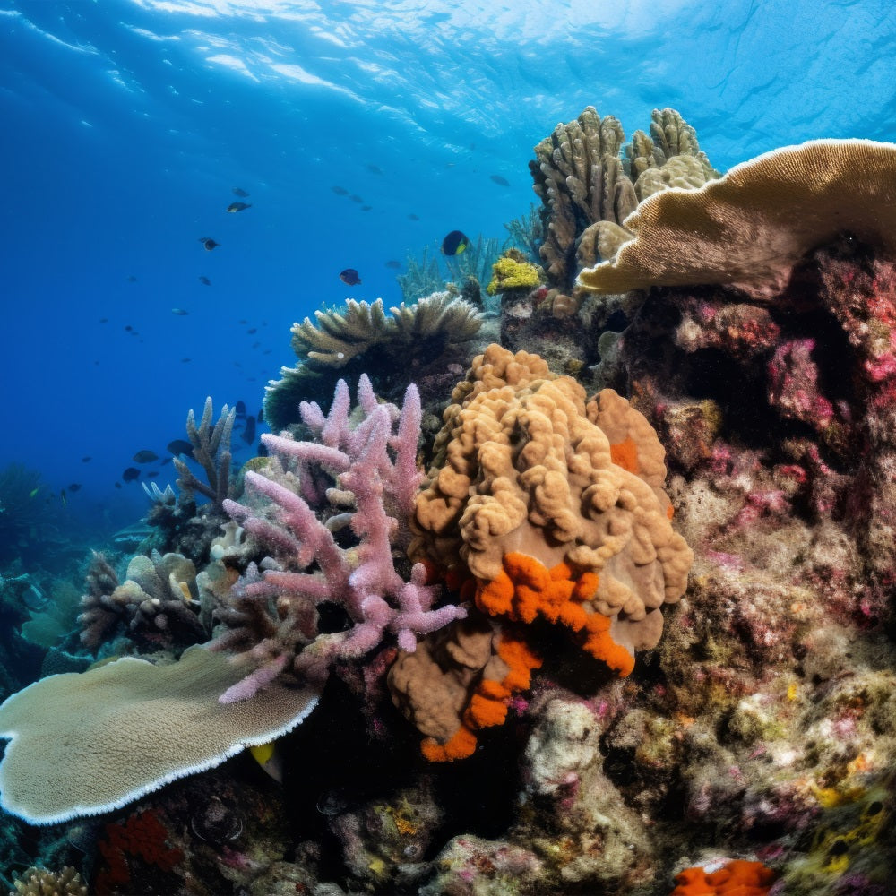 Sfondo Sirena Fai Da Te Fondale Lussureggiante Del Giardino Di Corallo Del Fondale Marino BRP12-57