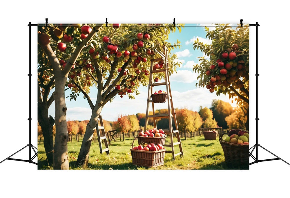 Sfondo Del Frutteto Di Mele Della Foresta All'Aperto Autunnale BRP7-111