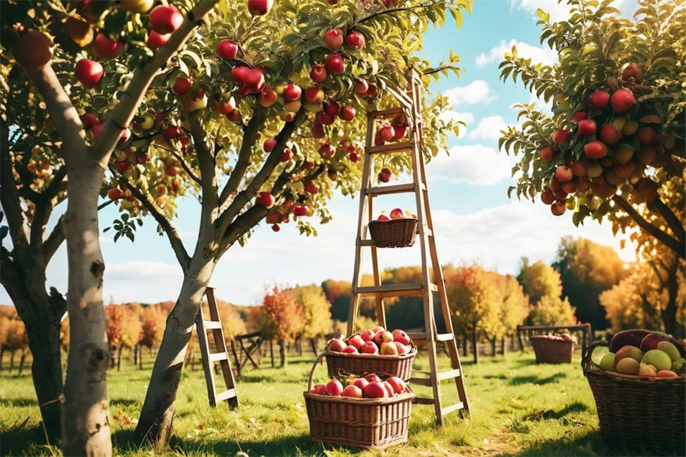 Sfondo Del Frutteto Di Mele Della Foresta All'Aperto Autunnale BRP7-111