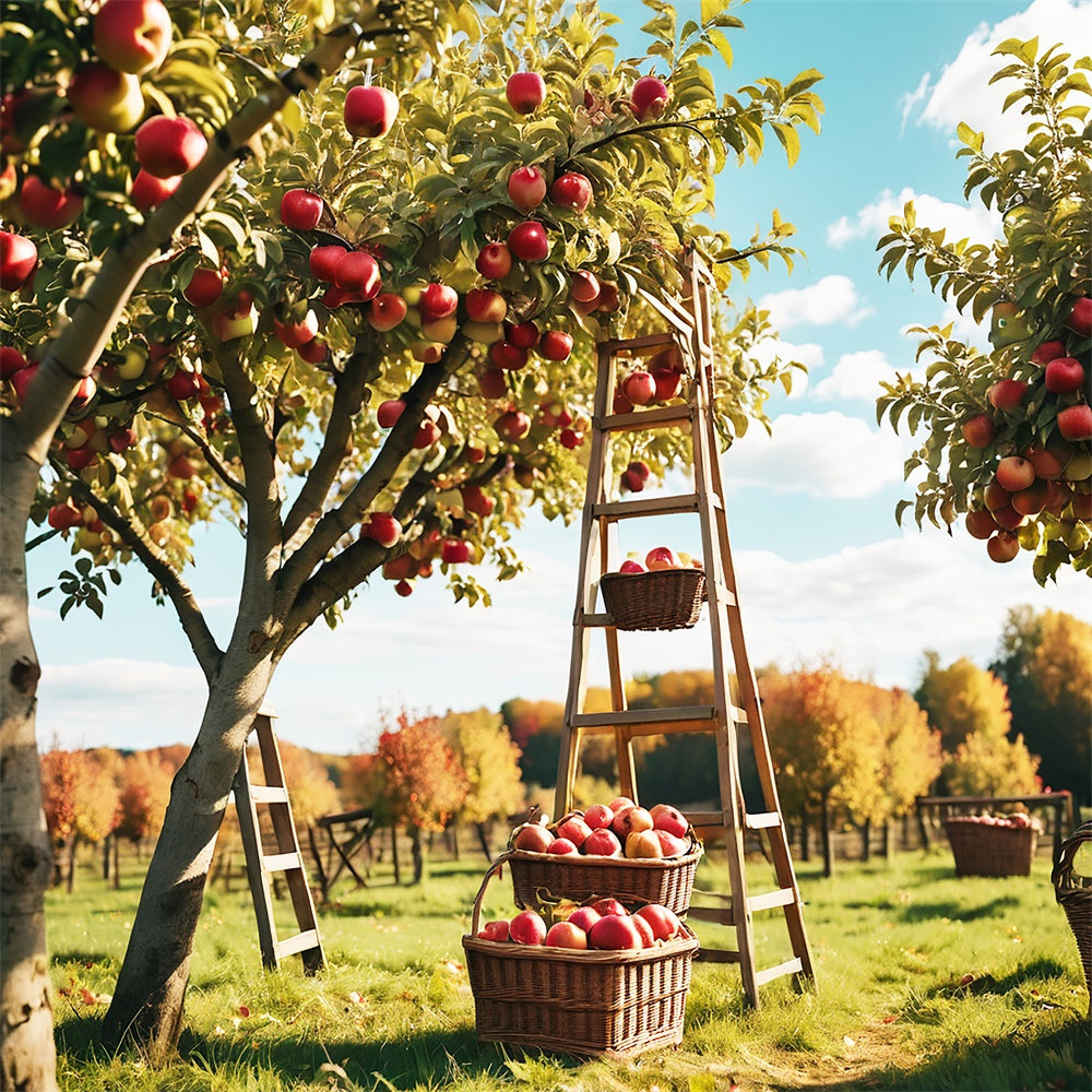 Sfondo Del Frutteto Di Mele Della Foresta All'Aperto Autunnale BRP7-111