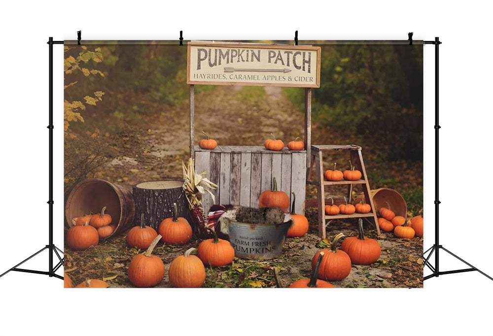 Sfondo Fotografico Autunnale Con Supporto Di Zucca BRP7-120