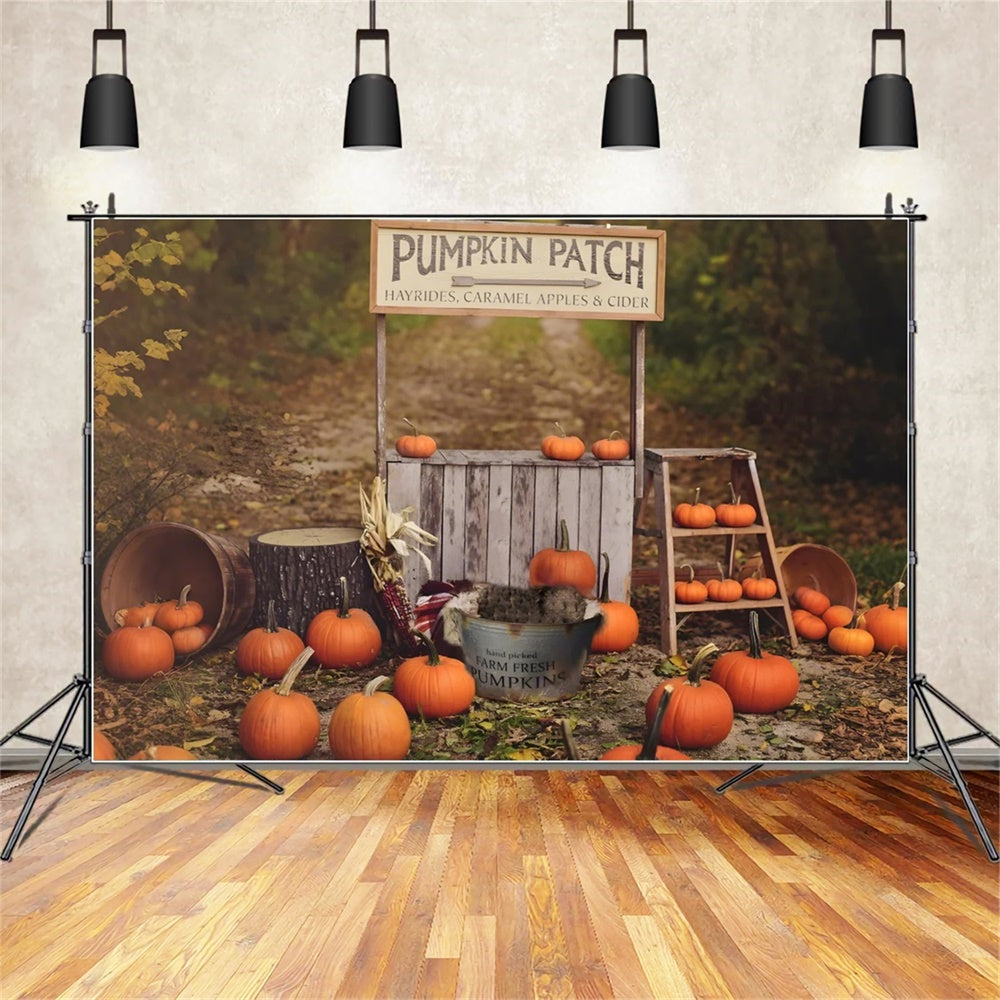 Sfondo Fotografico Autunnale Con Supporto Di Zucca BRP7-120