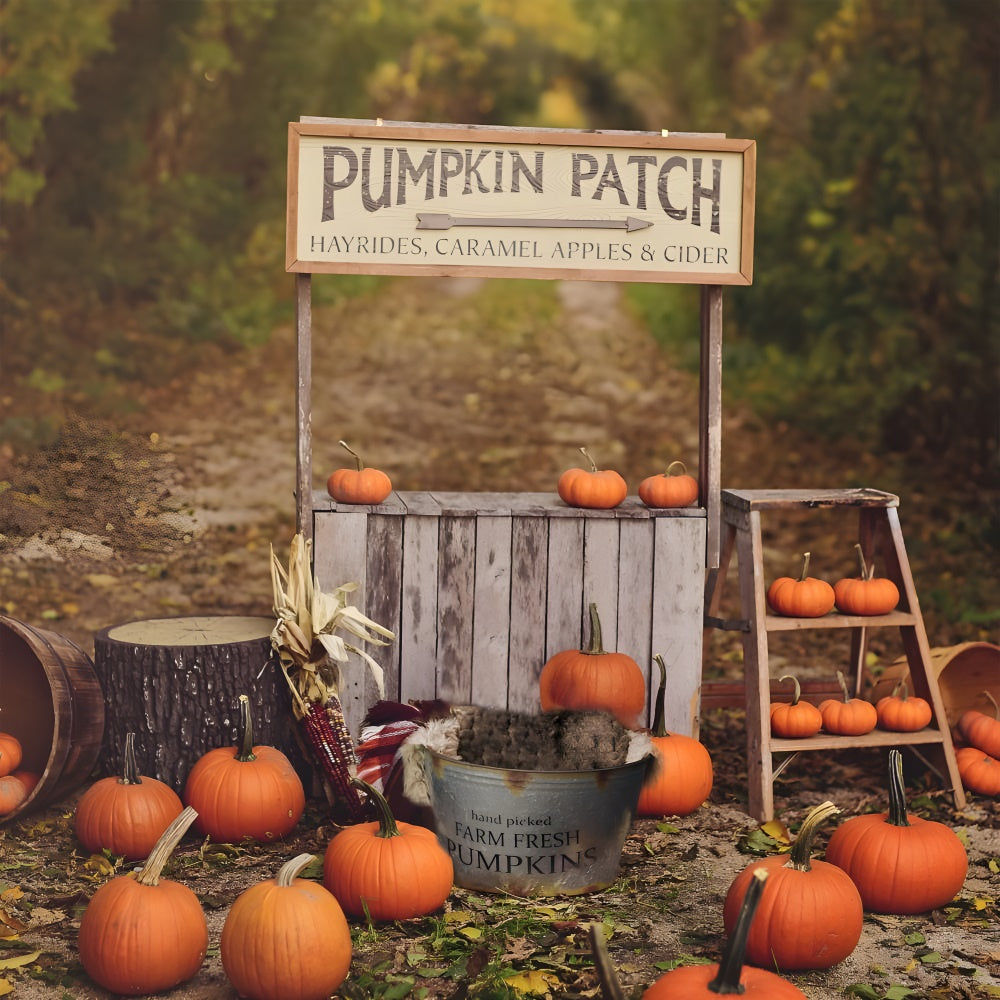 Sfondo Fotografico Autunnale Con Supporto Di Zucca BRP7-120