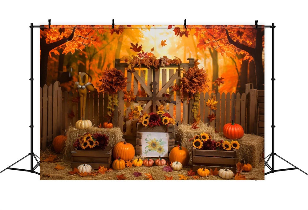 Sfondo Di Zucca Recinto Di Foresta Di Acero Autunnale BRP7-135