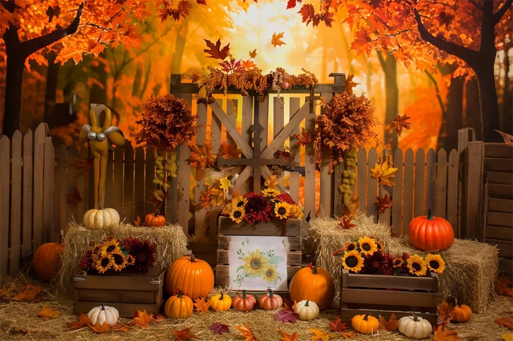 Sfondo Di Zucca Recinto Di Foresta Di Acero Autunnale BRP7-135