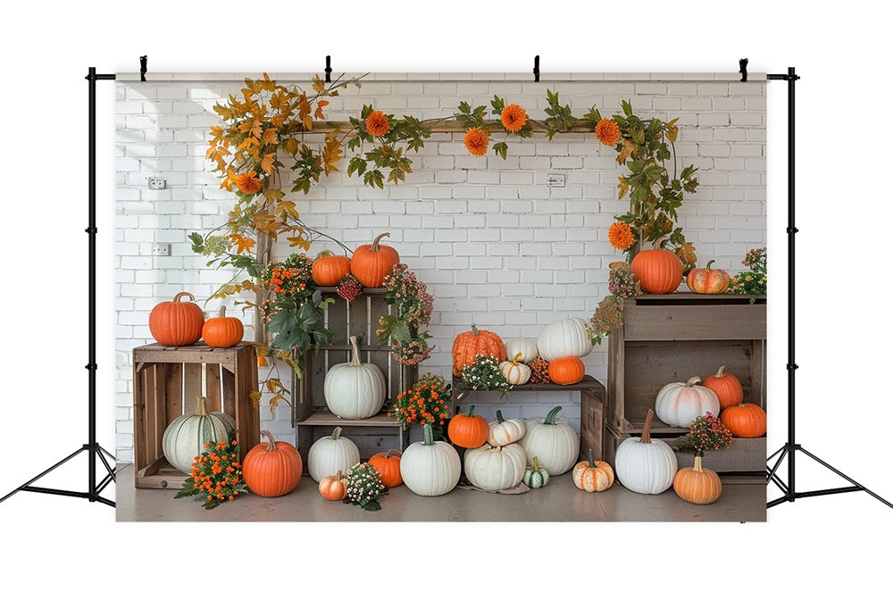 Mensola Zucca Autunnale Sfondo Bianco Da Parete BRP7-141