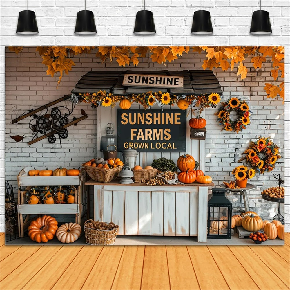 Sfondo Del Mercato Autunnale Delle Zucche BRP7-158