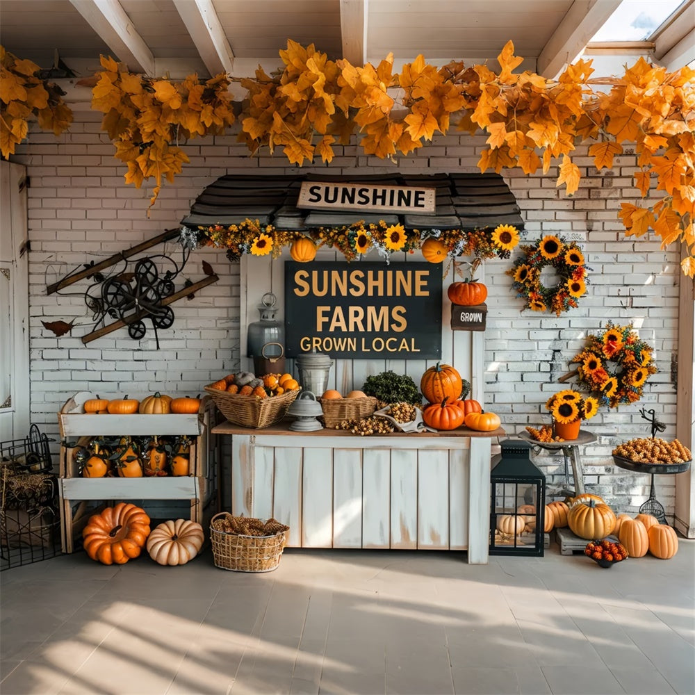 Sfondo Del Mercato Autunnale Delle Zucche BRP7-158