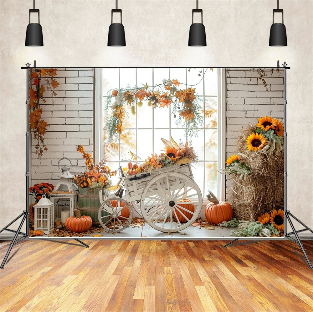 Sfondo Triciclo Autunno Paglia Zucca Foglia D'Acero BRP7-163