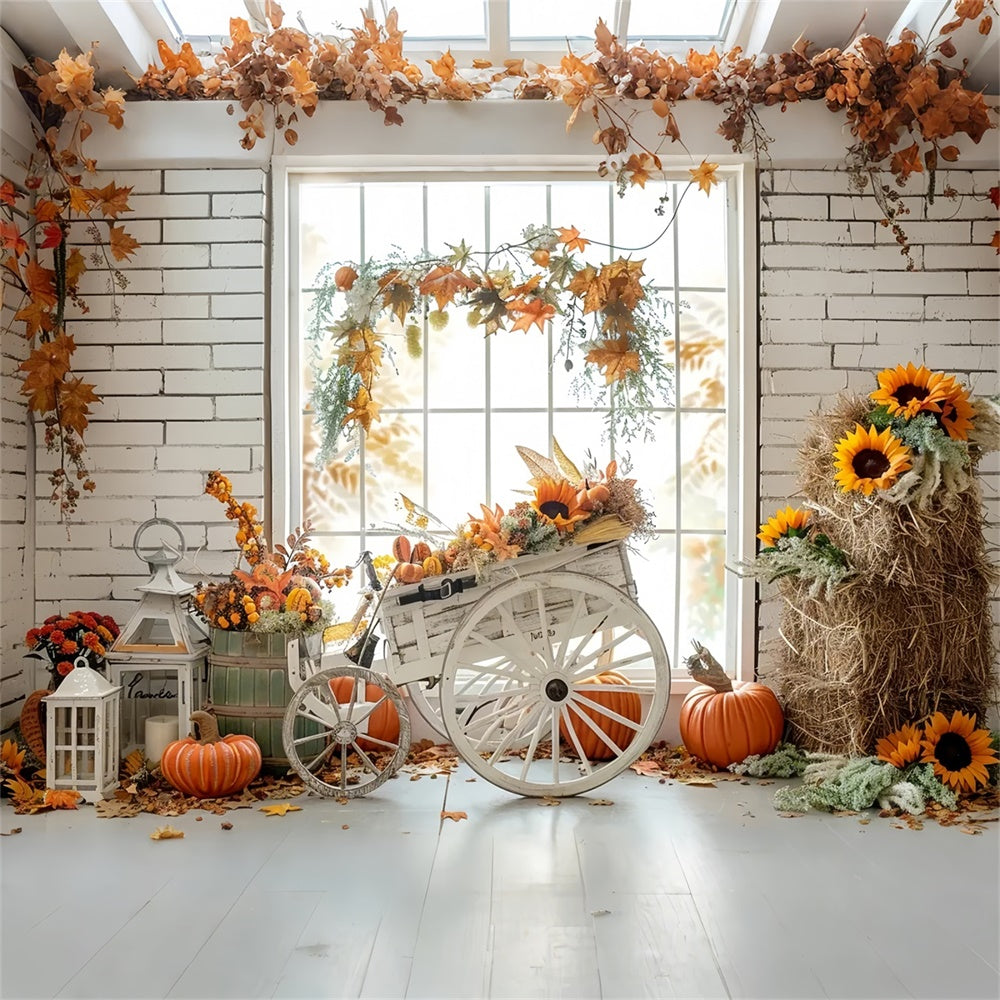 Sfondo Triciclo Autunno Paglia Zucca Foglia D'Acero BRP7-163